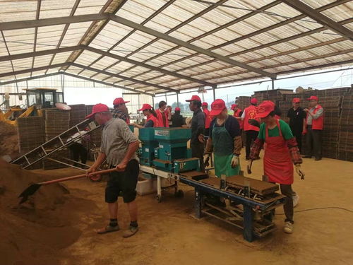 水稻育秧新篇章 我县工厂化技术观摩与技术转让活动成功举办